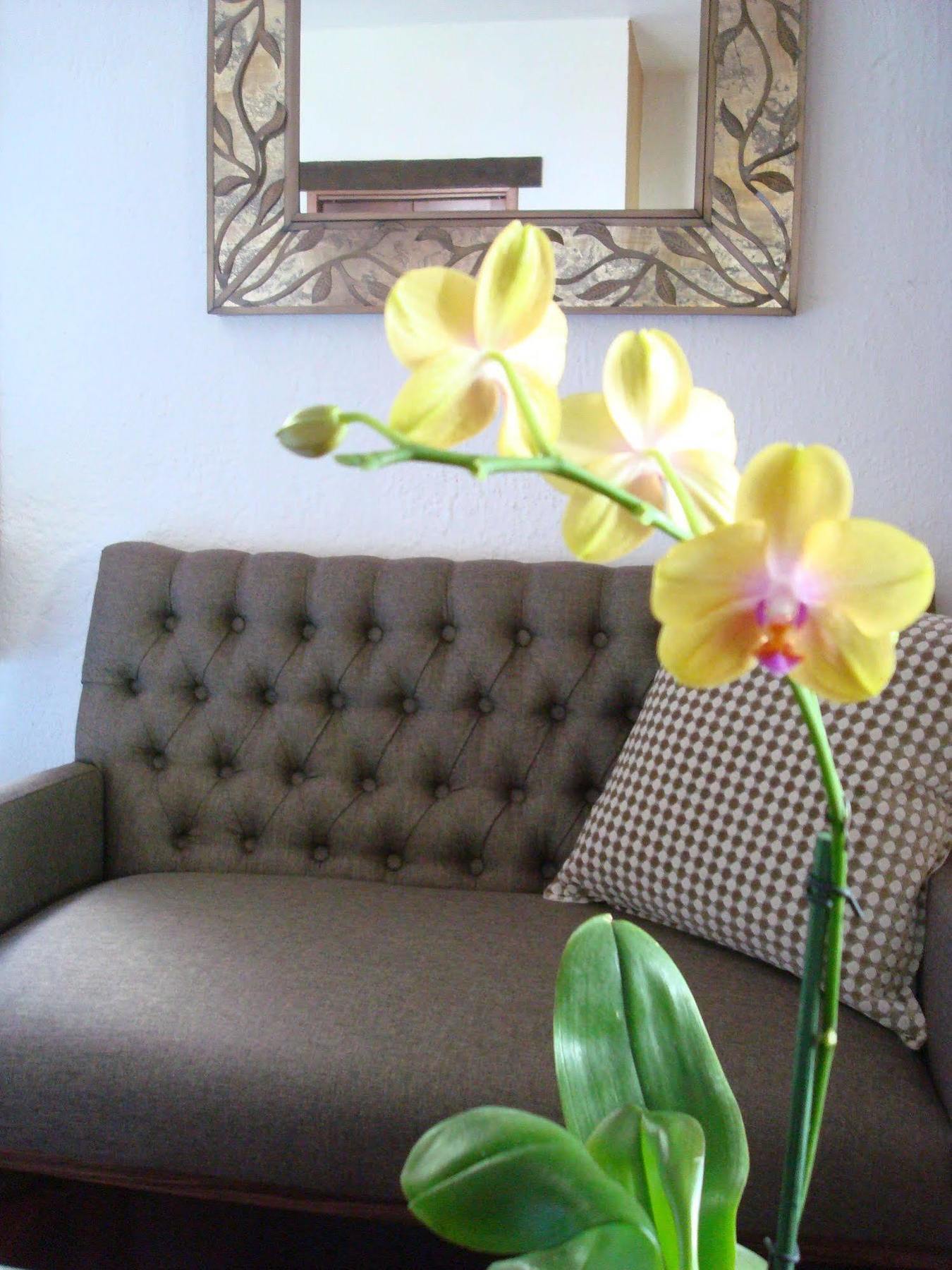 Casa Embrujo Morelia - Boutique Екстер'єр фото